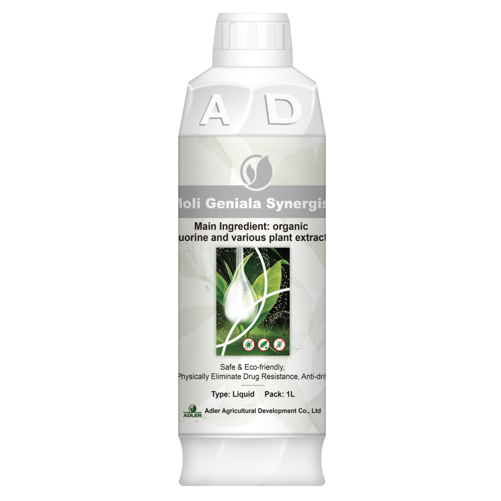 ADL202 Moli Geniala Synergist