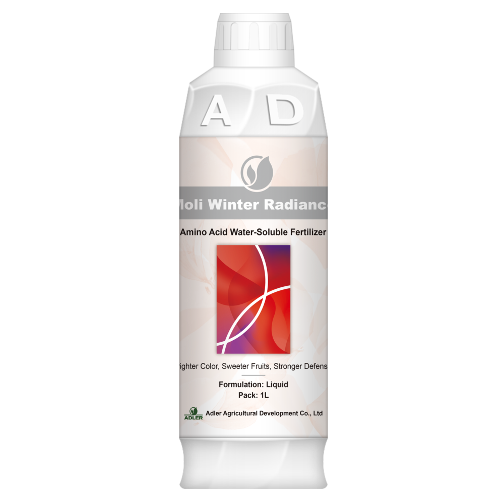 ADL007 Moli Winter Radiance