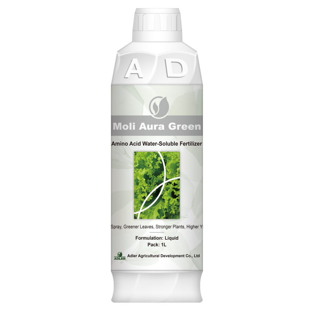 ADL008 Moli Aura Green