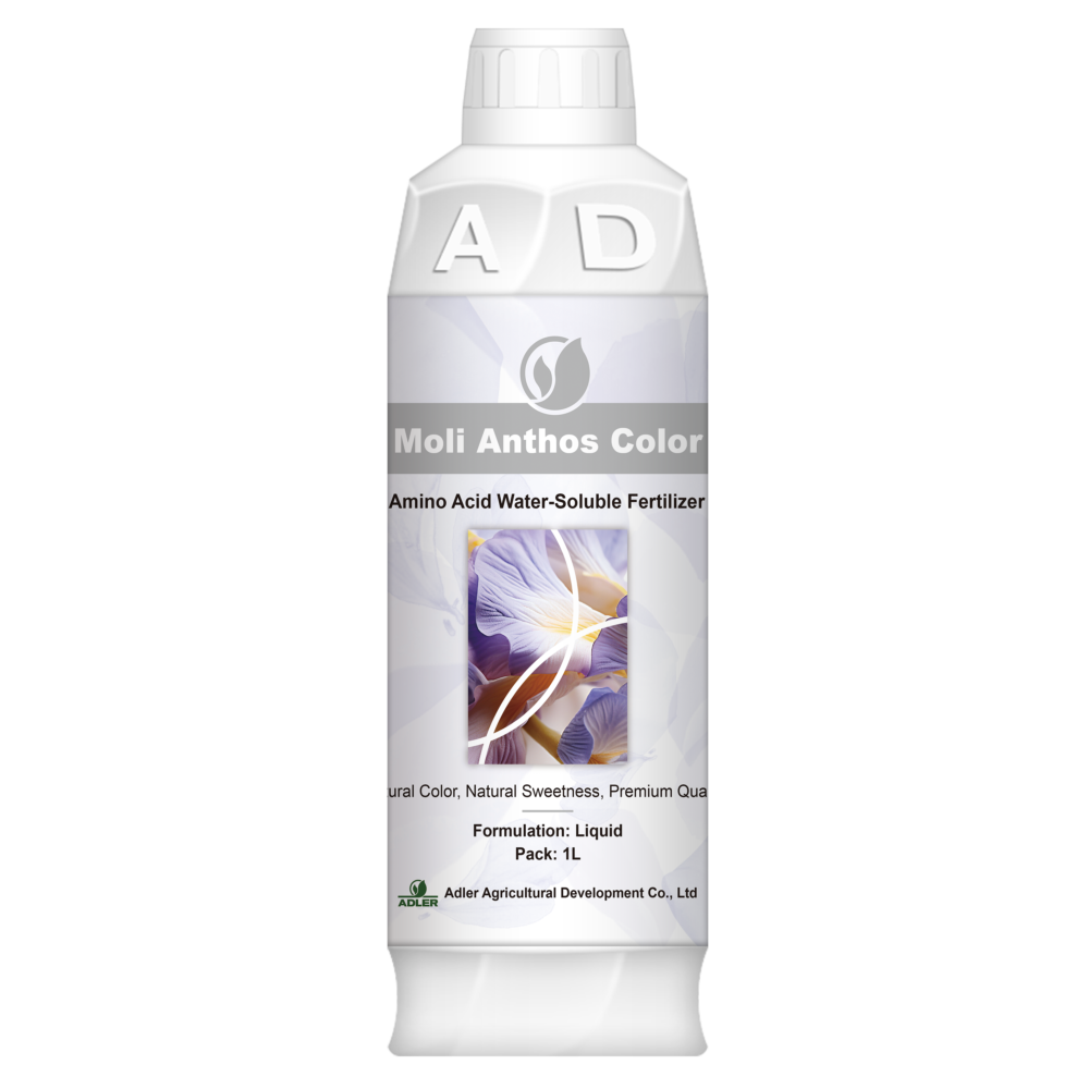 ADL012  Moli Anthos Color