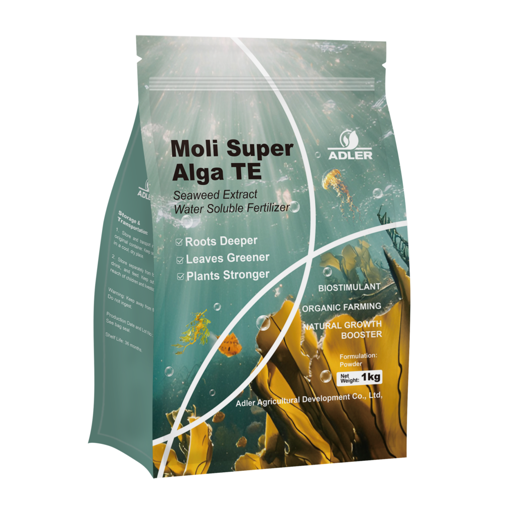 ADL101 Moli SuperAlga TE